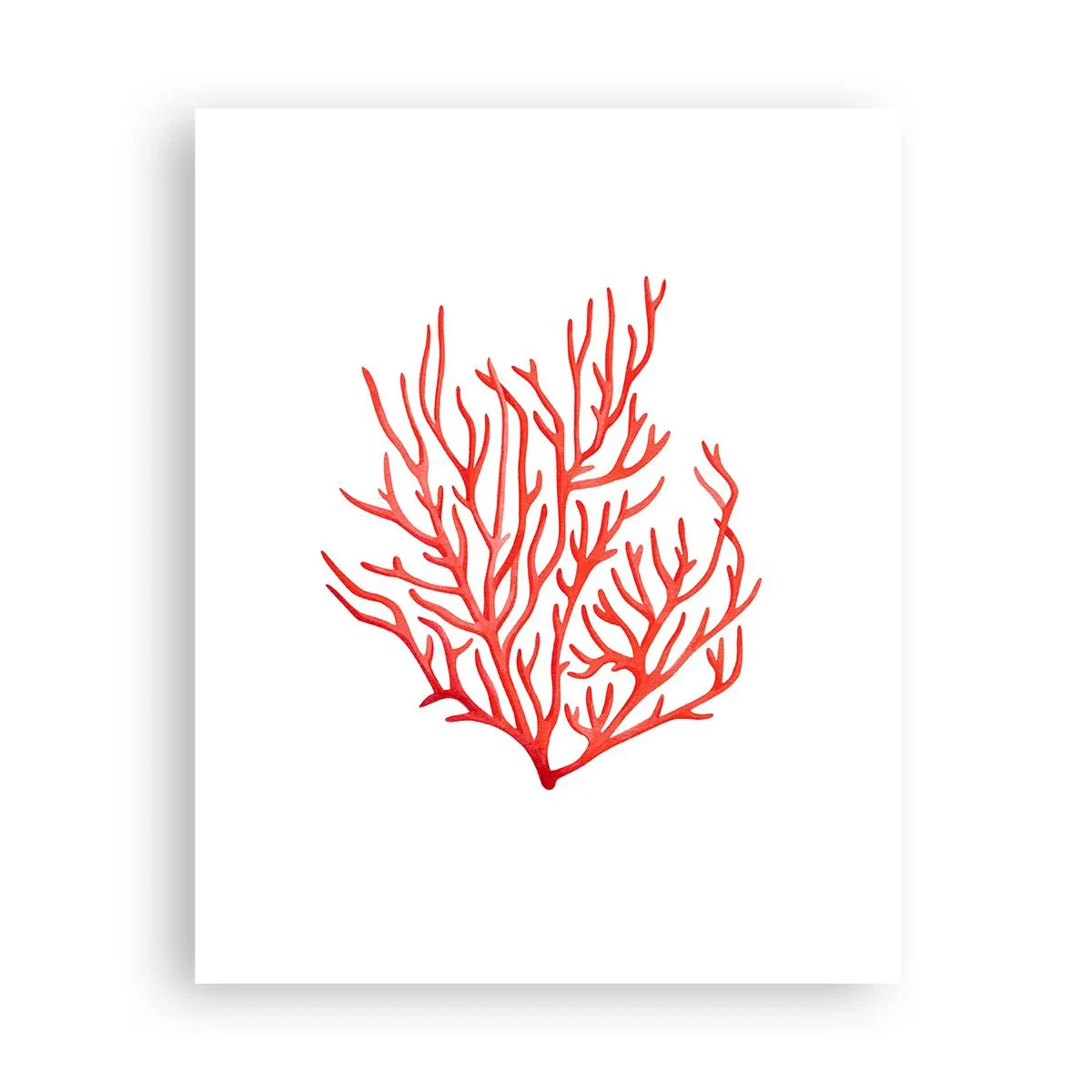 Affiche - Poster - Filigrane de corail - 40x50 cm