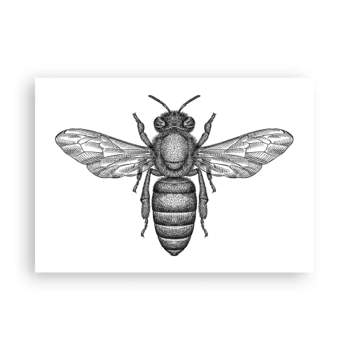 Affiche - Poster - Un motif d'abeille de dessin animé sur fond blanc dans un style minimaliste. - 100x70cm - Portrait d'insecte - Décoration murale moderne pour le salon et la chambre ARTTOR