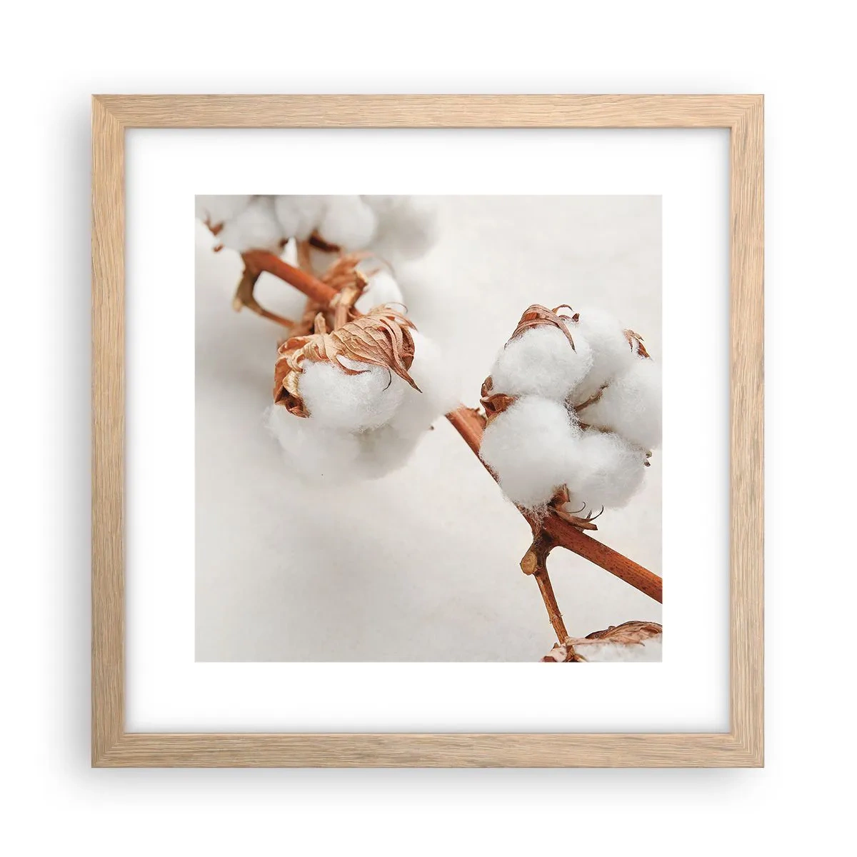 Affiche dans un chêne clair - Poster - Seulement caliner - 30x30 cm