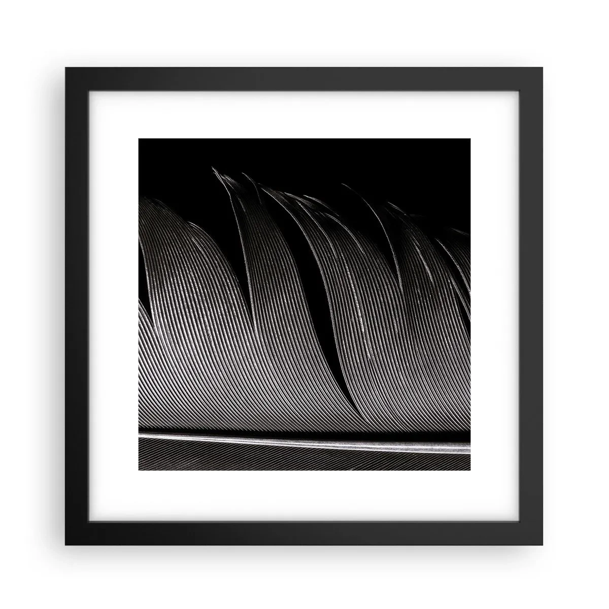 Affiche dans un cadre noir - Poster - La plume – un design magnifique - 30x30 cm