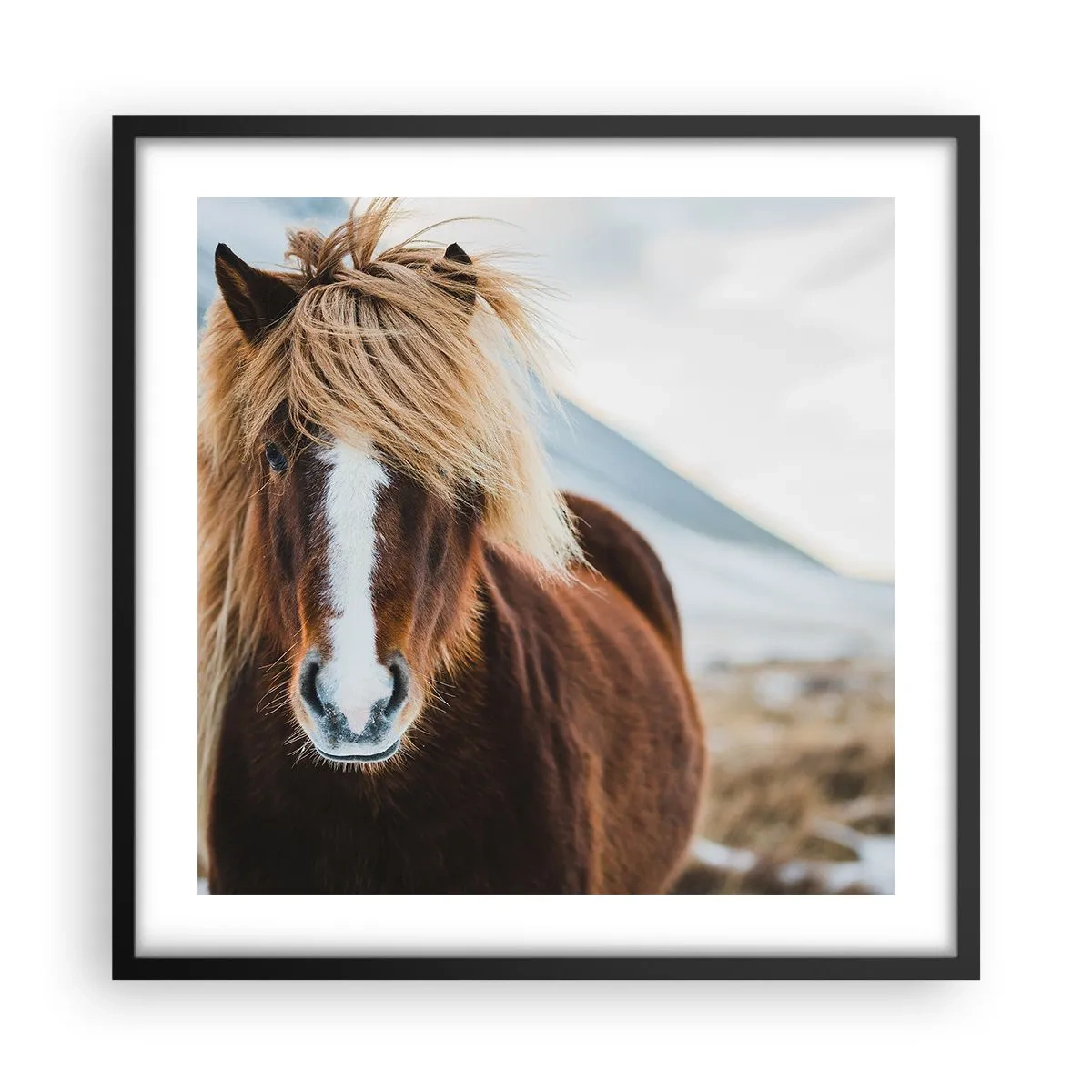 Affiche dans un cadre noir - Poster - Sentez-vous la liberté ? - 50x50 cm