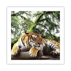 Affiche - Poster - Cordialement - 50x50 cm