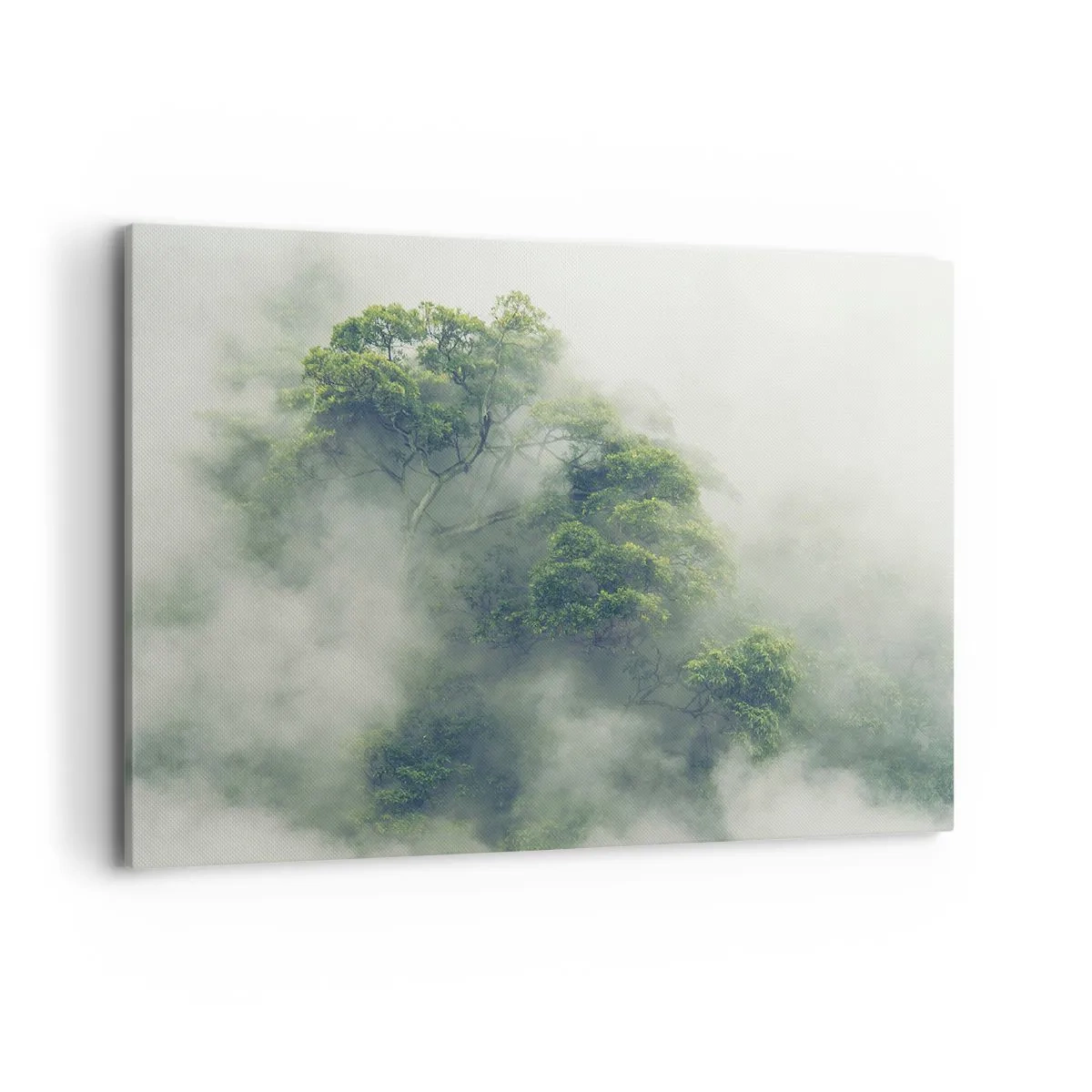 Impression sur toile - Image sur toile - Arbres verts dans un épais brouillard sur fond naturel - 100x70cm - Enveloppé de brouillard - Décoration murale moderne pour le salon et la chambre ARTTOR