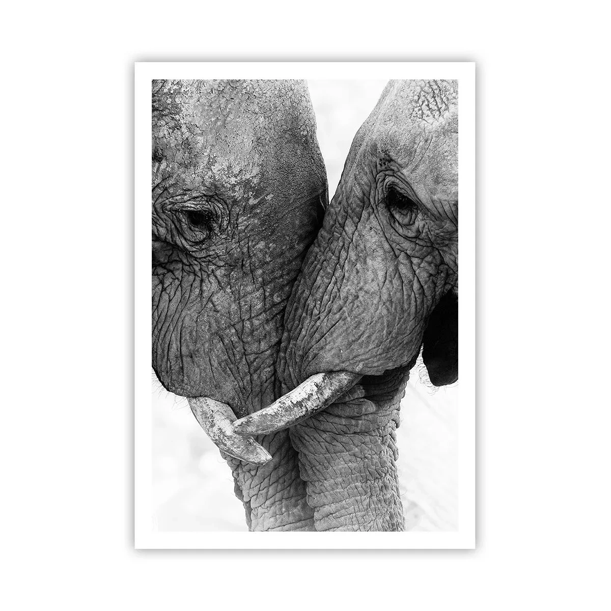 Affiche - Poster - Confession sincère - 70x100 cm