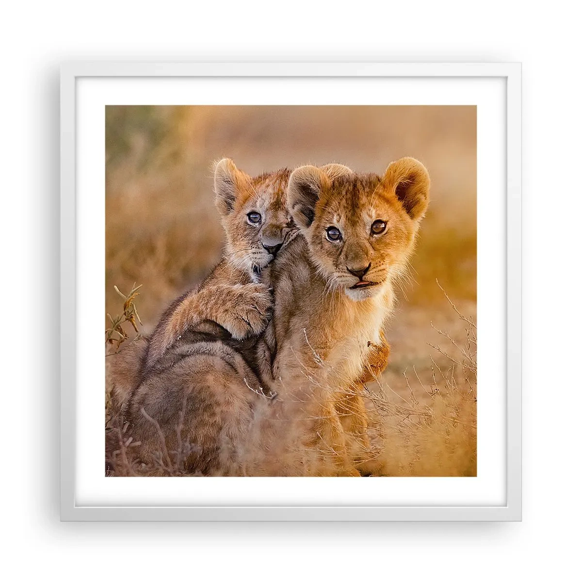 Affiche dans un cadre blanc - Poster - Ne pas déranger! On s'amuse - 50x50 cm