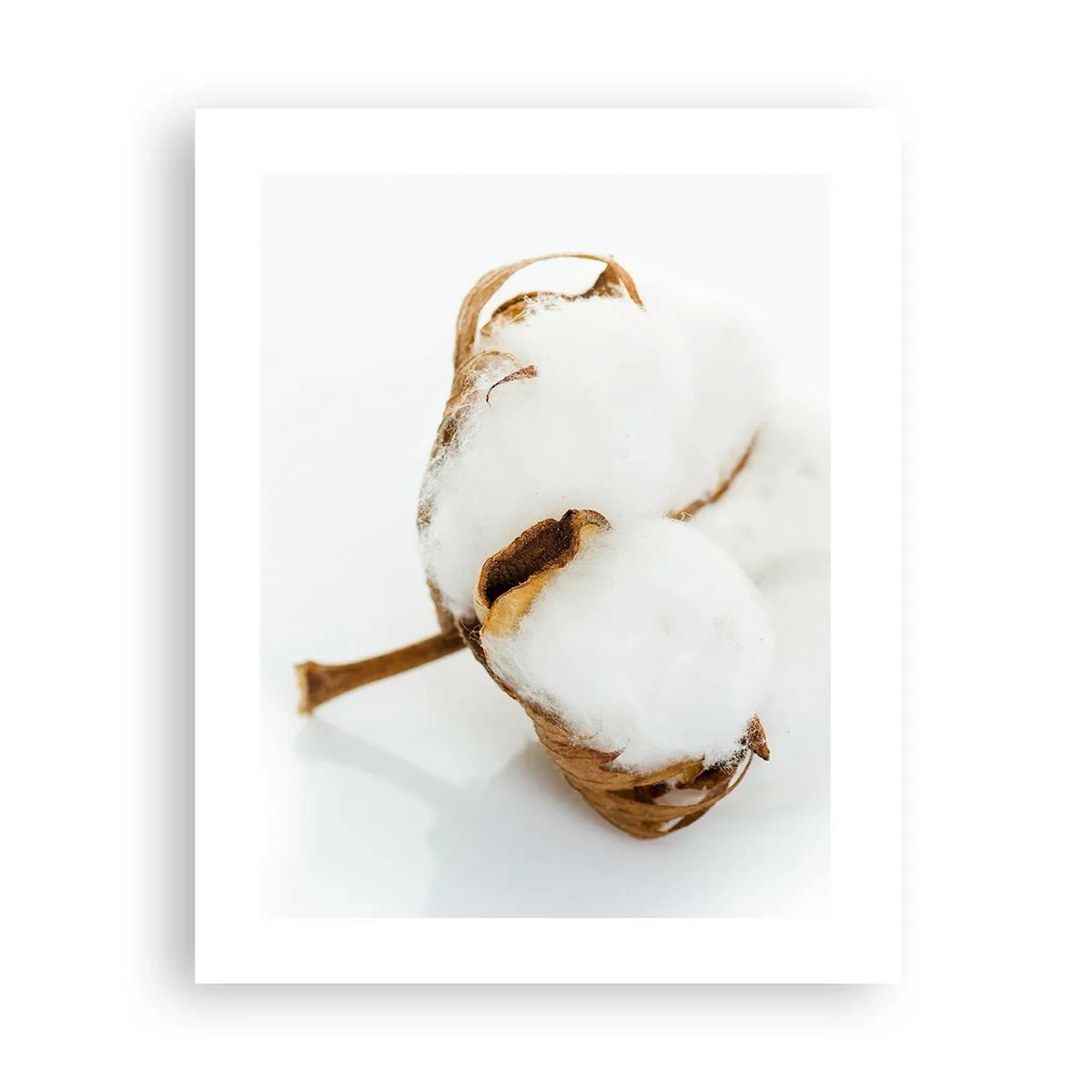 Affiche - Poster - Doux par nature - 40x50 cm