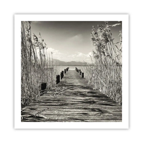 Affiche - Poster - Dans le calme de l'herbe - 60x60 cm