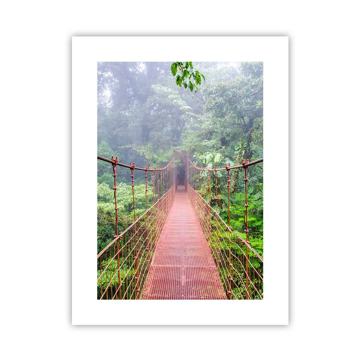 Affiche - Poster - Suspendu sur les couronnes - 30x40 cm
