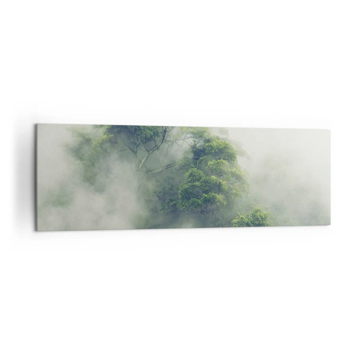 Impression sur toile - Image sur toile - Arbres verts dans un épais brouillard sur fond naturel - 160x50cm - Enveloppé de brouillard - Décoration murale moderne pour le salon et la chambre ARTTOR