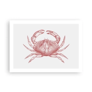 Affiche - Poster - Le crabe des crabes - 70x50 cm