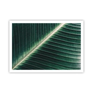 Affiche - Poster - Gros plan de la structure d'une feuille verte - 100x70cm - Le rythme de la nature - Décoration murale moderne pour le salon et la chambre ARTTOR