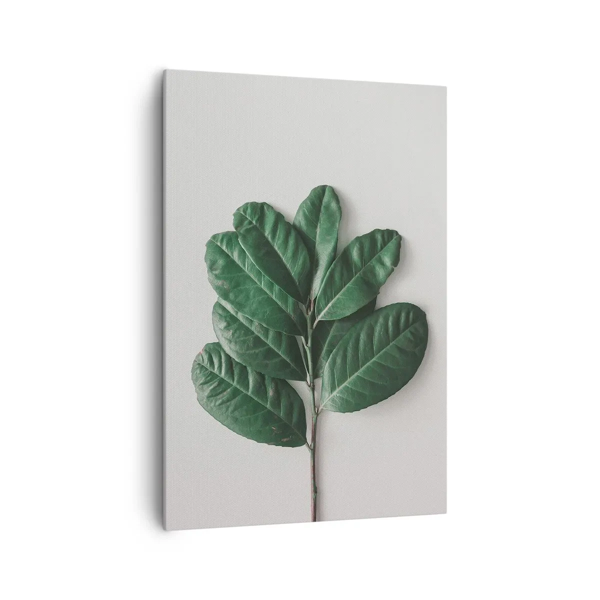 Impression sur toile - Image sur toile - Un brin de feuilles vertes sur un fond clair - 70x100cm - Dessin de la nature elle-même - Décoration murale moderne pour le salon et la chambre ARTTOR