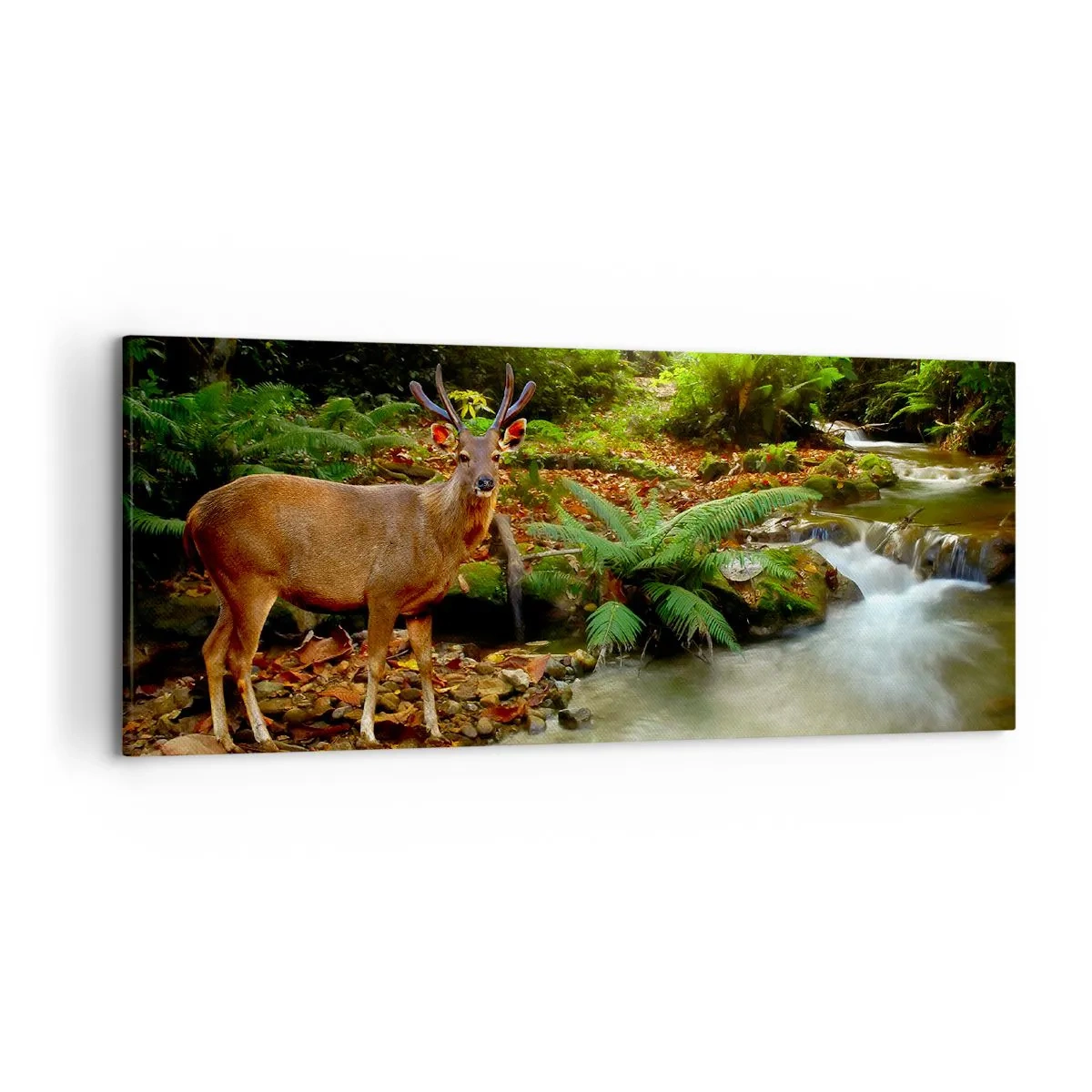 Impression sur toile - Image sur toile - Un cerf près d'un ruisseau entouré de verdure dans la forêt - 120x50cm - Bienvenue dans mon monde - Décoration murale moderne pour le salon et la chambre ARTTOR