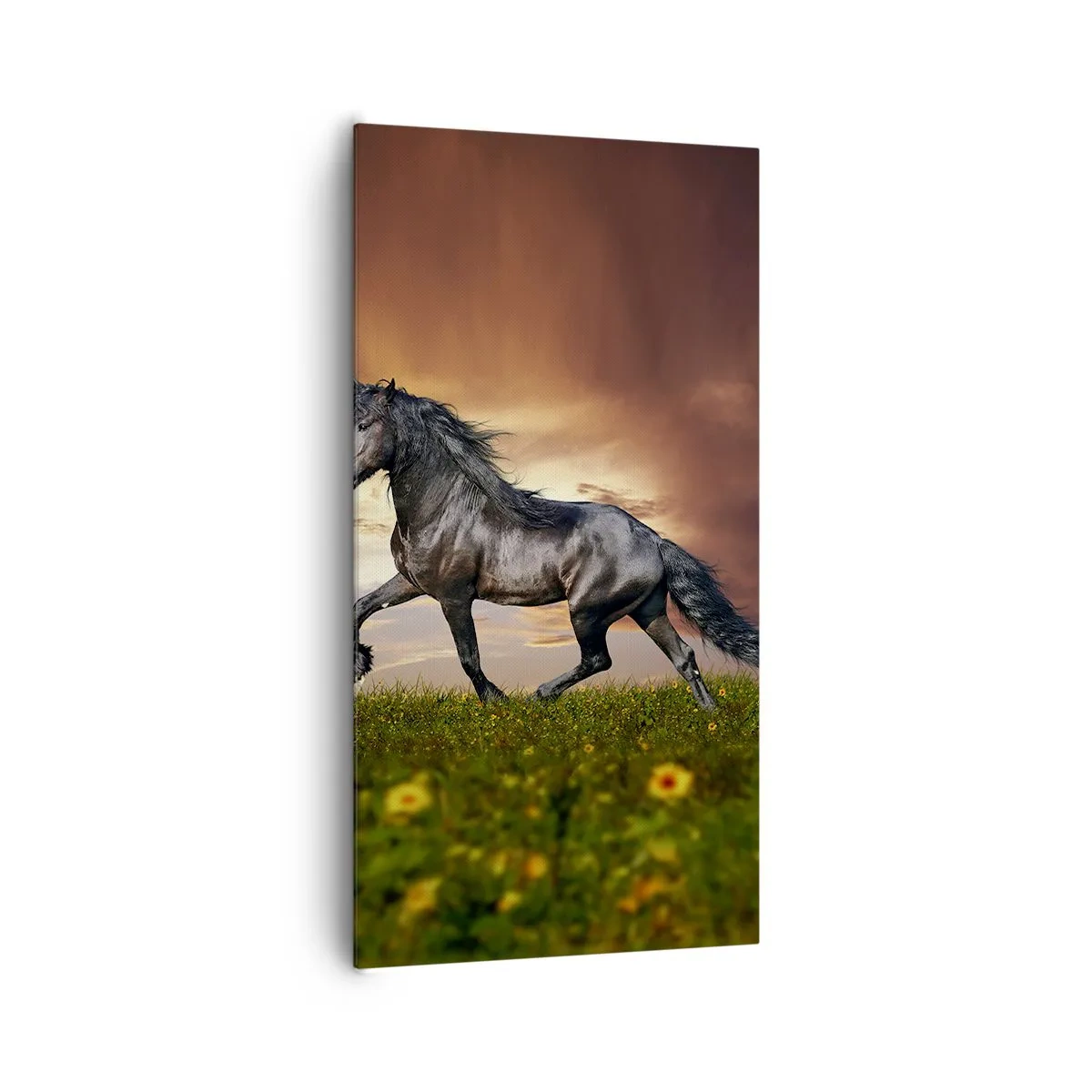 Impression sur toile - Image sur toile - Livres noirs - 65x120 cm