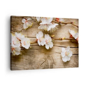 Impression sur toile - Image sur toile - Branches de cerisiers en fleurs sur fond de planche de bois - 70x50cm - Et c'est devenu le printemps - Décoration murale moderne pour le salon et la chambre ARTTOR