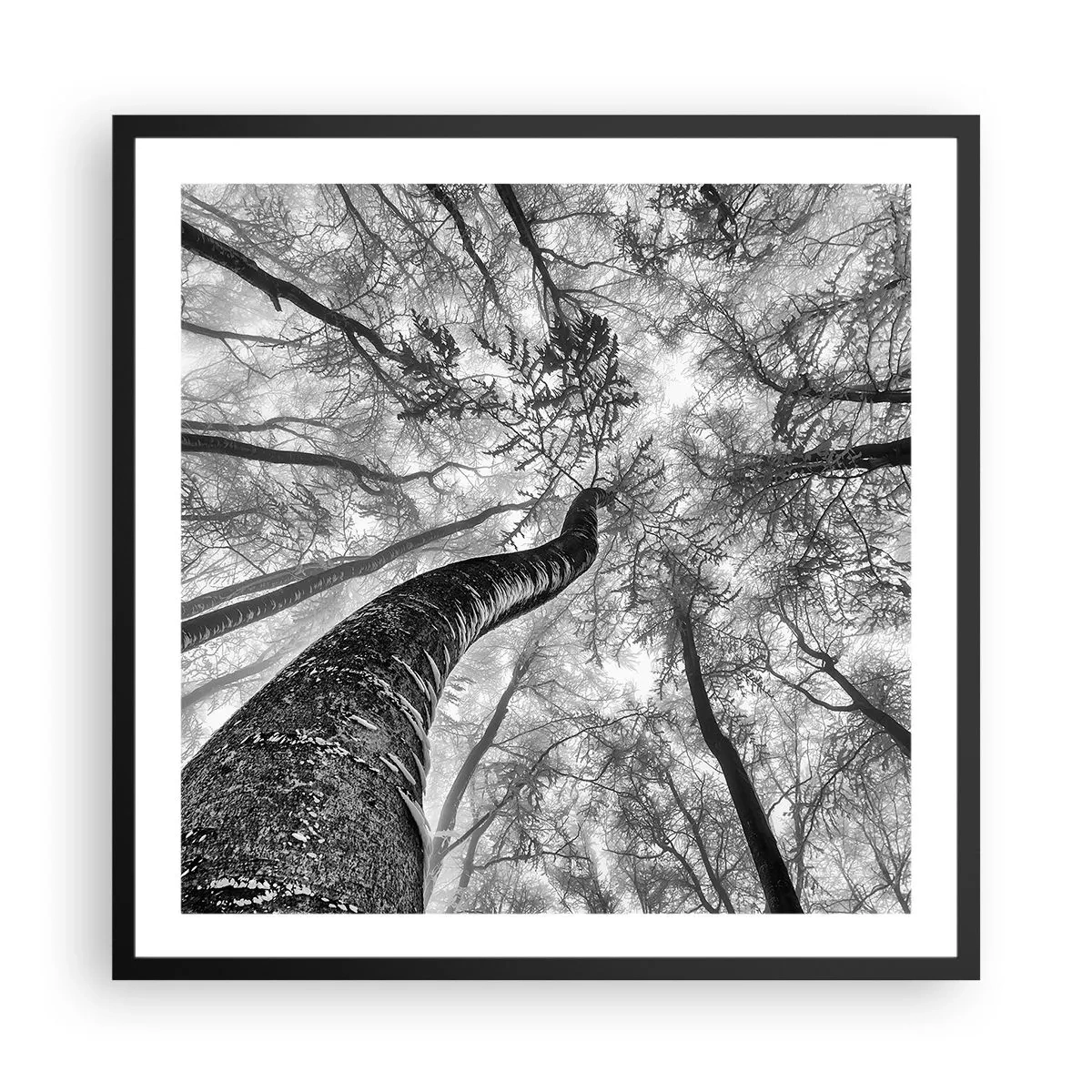 Affiche dans un cadre noir - Poster - Course vers la lumière - 60x60 cm