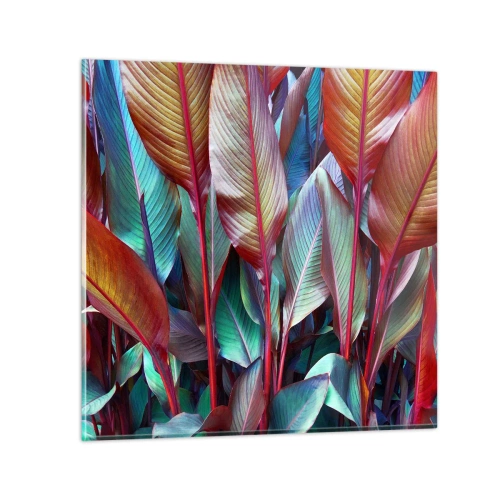 Impression sur verre - Image sur verre - Un fourré coloré - 50x50 cm