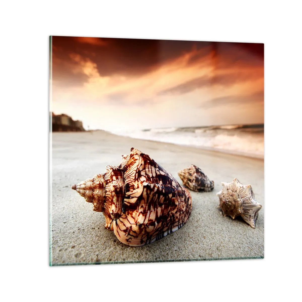 Impression sur verre - Image sur verre - Les parias des vagues - 70x70 cm