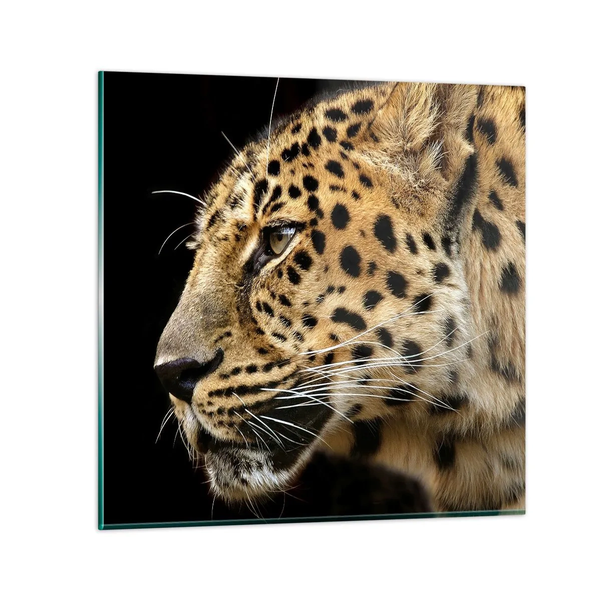 Impression sur verre - Image sur verre - Calme, concentré, prêt - 30x30 cm