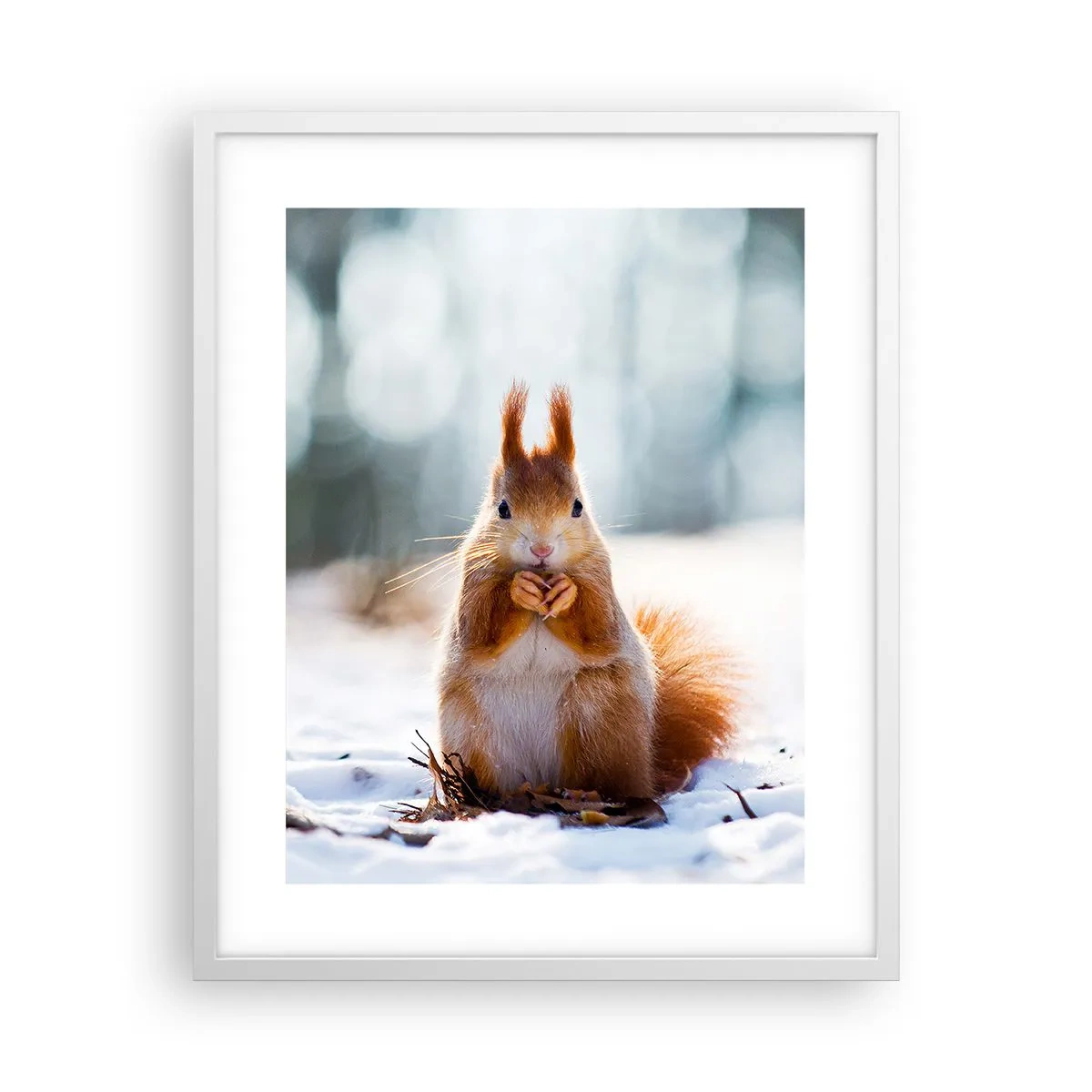 Affiche dans un cadre blanc - Poster - Qu'est ce que tu regardes comme ça? - 40x50 cm