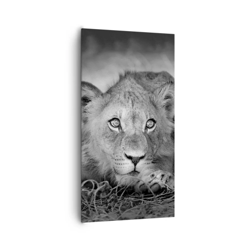 Impression sur toile - Image sur toile - Chiot royal - 65x120 cm