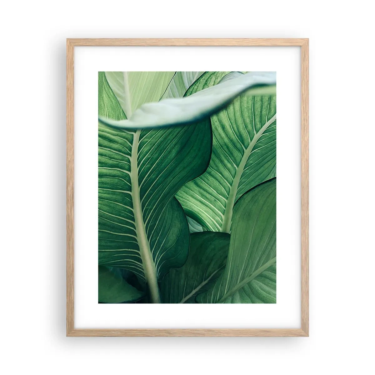 Affiche dans un chêne clair - Poster - Une vie intensément verte - 40x50 cm