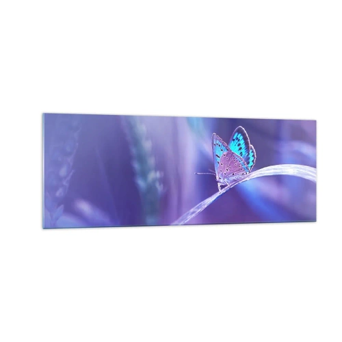 Impression sur verre - Image sur verre - Un délicat papillon bleu sur une tige dans une lumière violette - 140x50cm - Un joyau de la nature - Décoration murale moderne pour le salon et la chambre ARTTOR