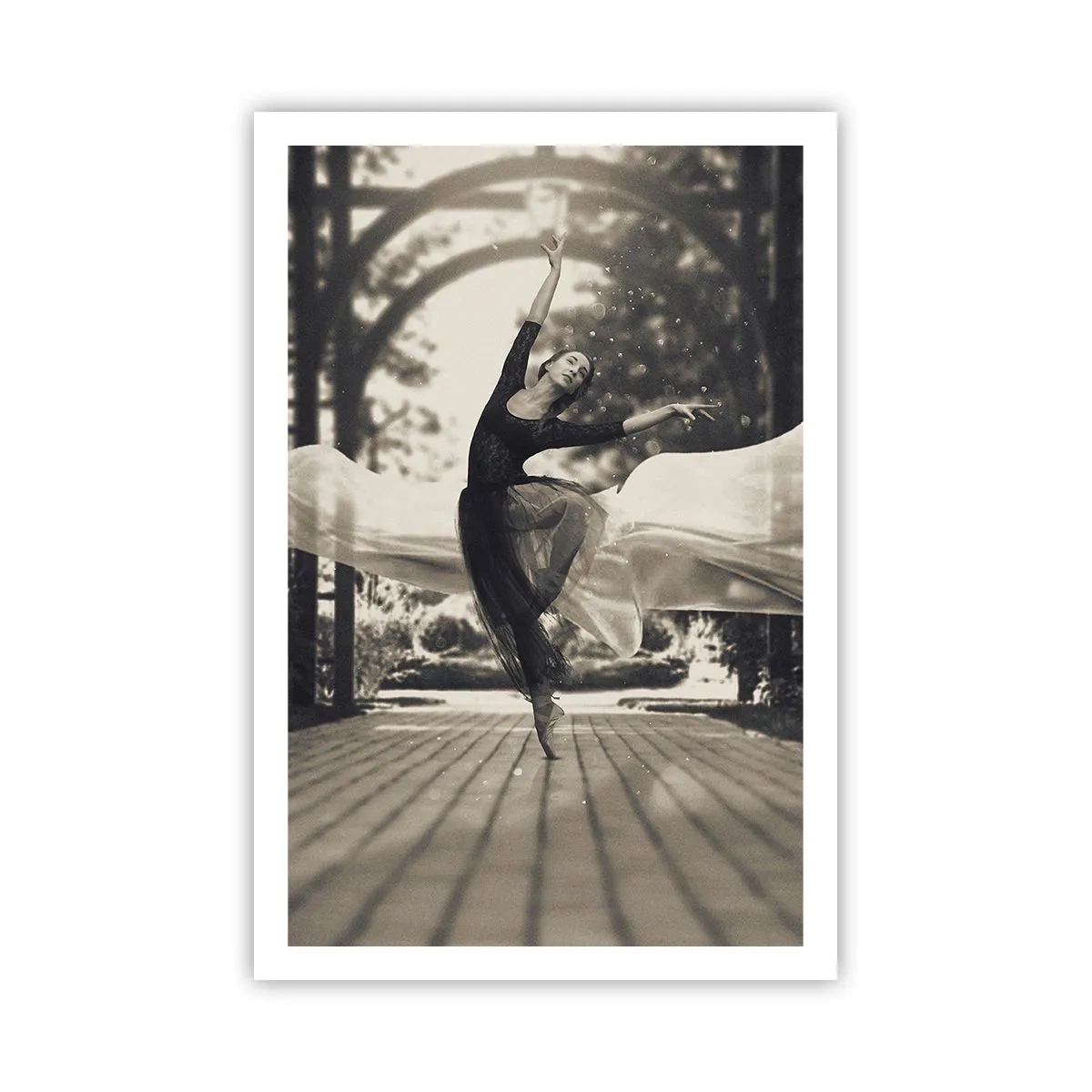 Affiche - Poster - La danse de l'esprit jardin - 61x91 cm