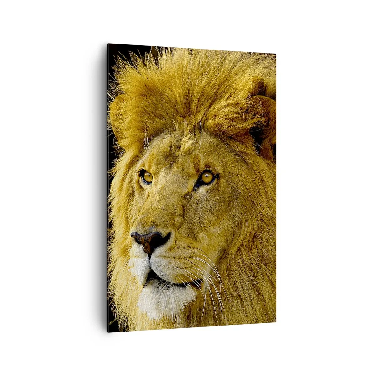 Impression sur toile - Image sur toile - Portrait d'un lion à la crinière majestueuse sur fond sombre - 80x120cm - Portrait de roi - Décoration murale moderne pour le salon et la chambre ARTTOR