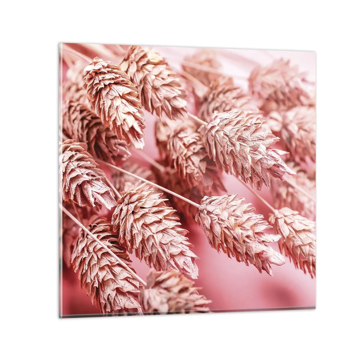 Impression sur verre - Image sur verre - Une cascade florale en rose - 70x70 cm