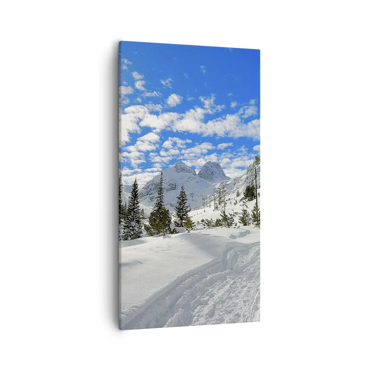 Impression sur toile - Image sur toile - Dans la neige et au soleil - 55x100 cm
