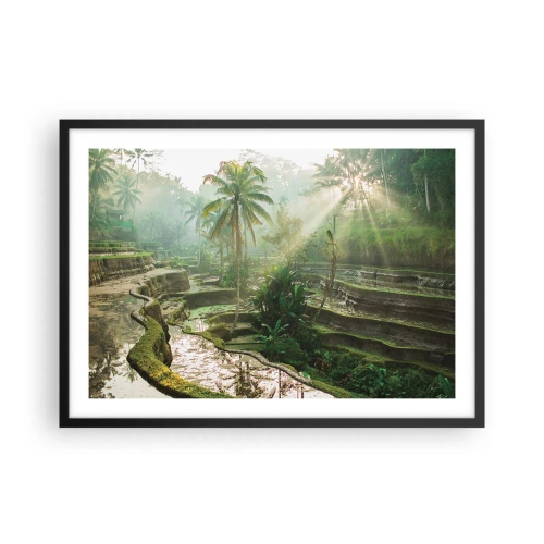 Affiche dans un cadre noir - Poster - Rizières en terrasses avec palmiers sous les rayons du soleil - 70x50cm - Grandir au soleil - Décoration murale moderne pour le salon et la chambre ARTTOR