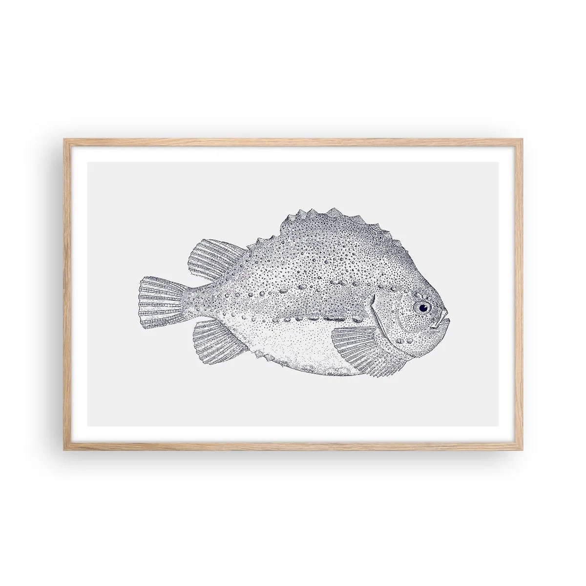 Affiche dans un chêne clair - Poster - Pour l'album du naturaliste - 91x61 cm