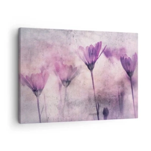 Impression sur toile - Image sur toile - Fleurs délicates dans des tons violets sur fond clair - 70x50cm - Rêve de fleurs - Décoration murale moderne pour le salon et la chambre ARTTOR