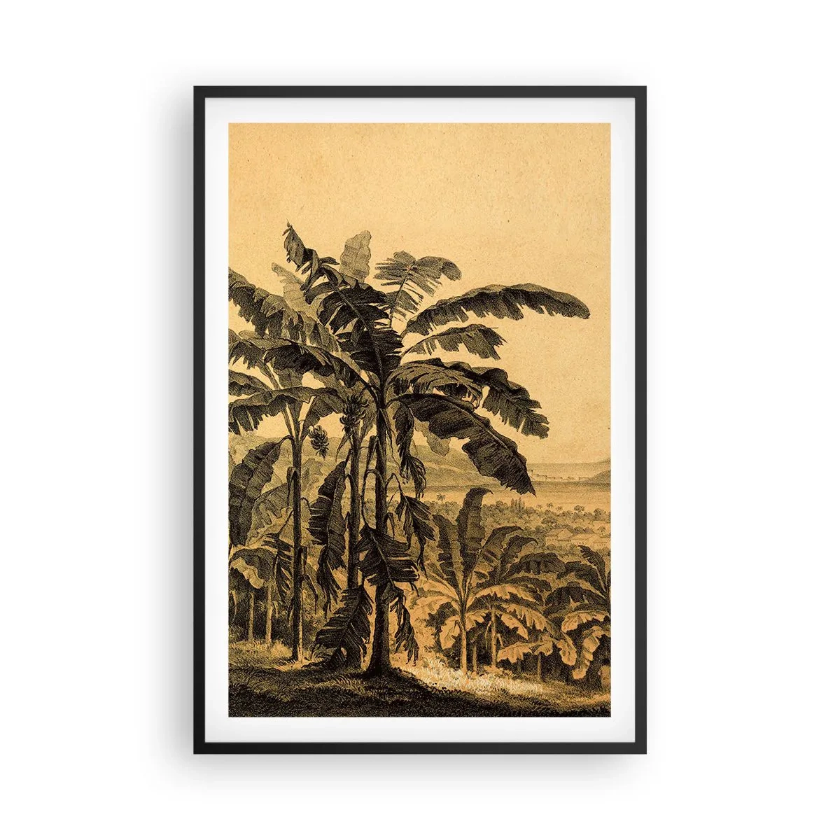 Affiche dans un cadre noir - Poster - Dans un climat colonial - 61x91 cm