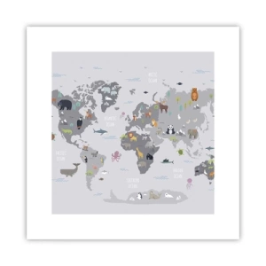 Affiche - Poster - Dis-moi d'où tu viens... - 30x30 cm