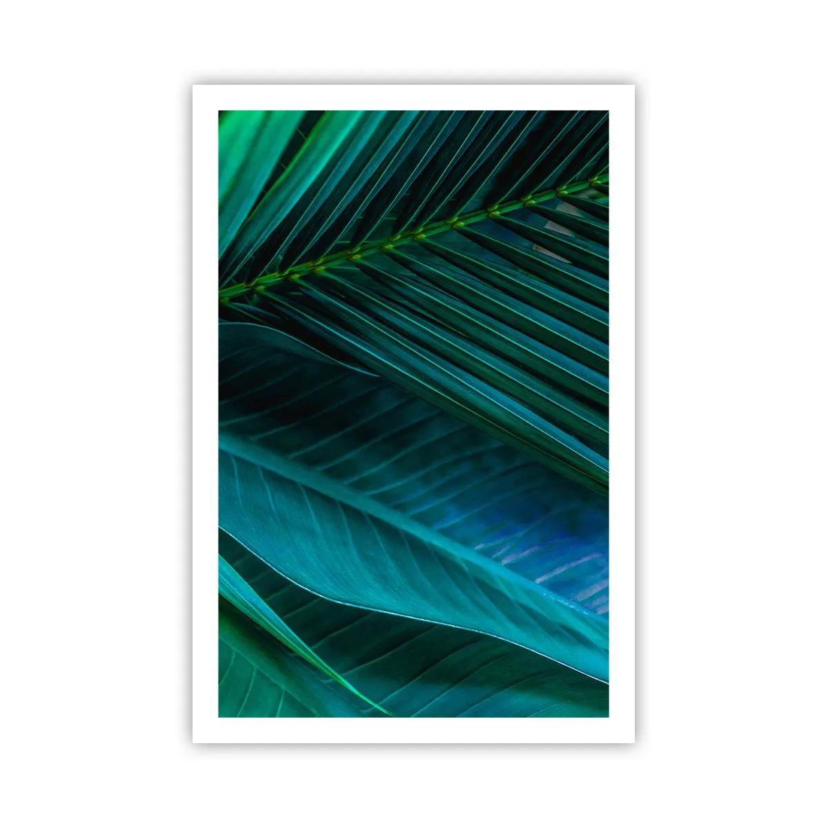 Affiche - Poster - L'anatomie du vert - 61x91 cm