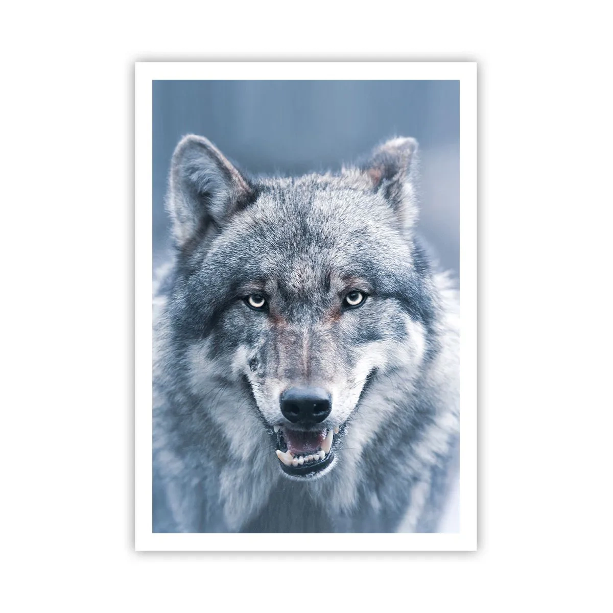 Affiche - Poster - Relèverez-vous le défi ? - 70x100 cm