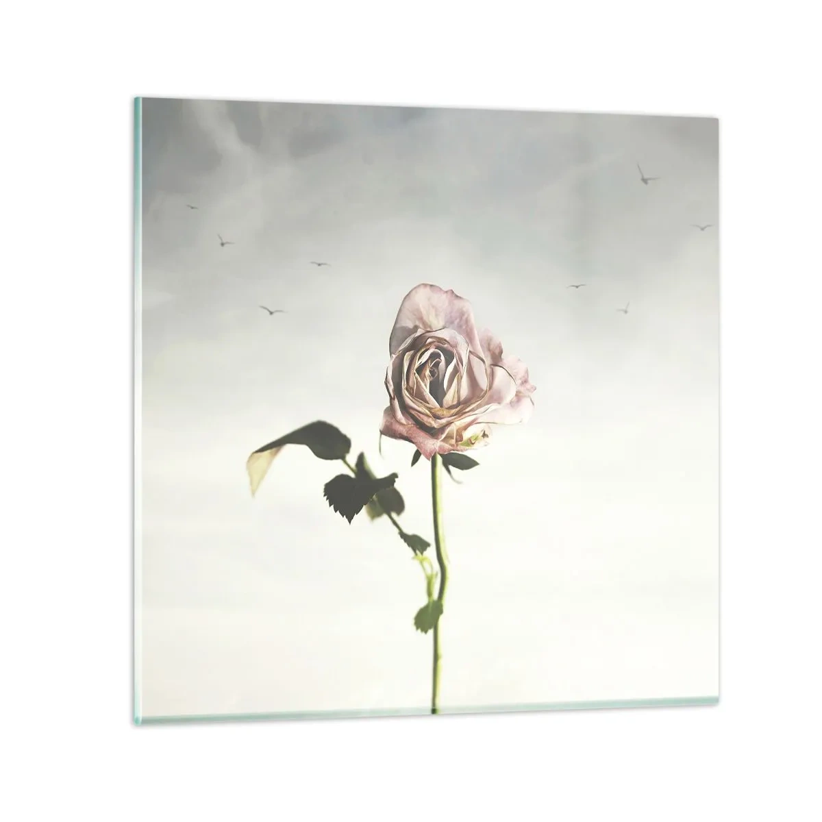 Impression sur verre - Image sur verre - Bonjour de printemps - 30x30 cm