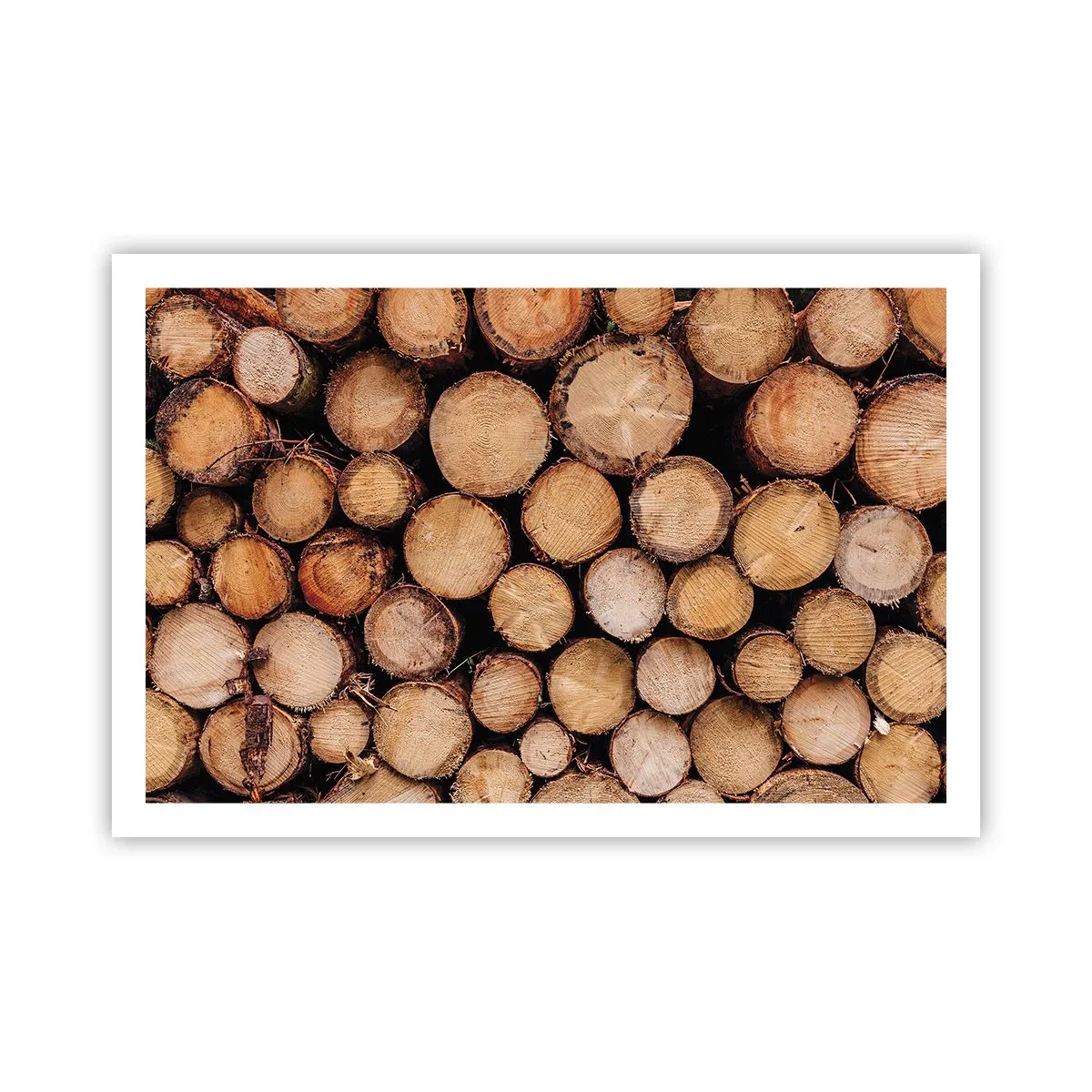 Affiche - Poster - Nouveau commencement - 91x61 cm