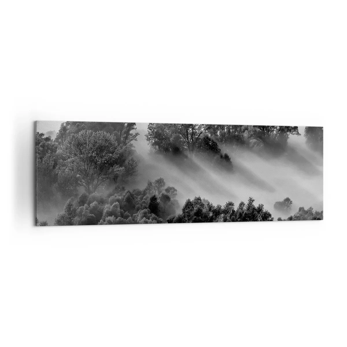 Impression sur toile - Image sur toile - Paysage forestier noir et blanc dans le brouillard du matin - 160x50cm - Sortir de son sommeil - Décoration murale moderne pour le salon et la chambre ARTTOR