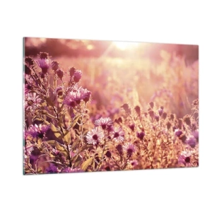 Impression sur verre - Image sur verre - Fleurs violettes dans la prairie à la lumière du soleil couchant - 120x80cm - Avant que l'été ne parte - Décoration murale moderne pour le salon et la chambre ARTTOR