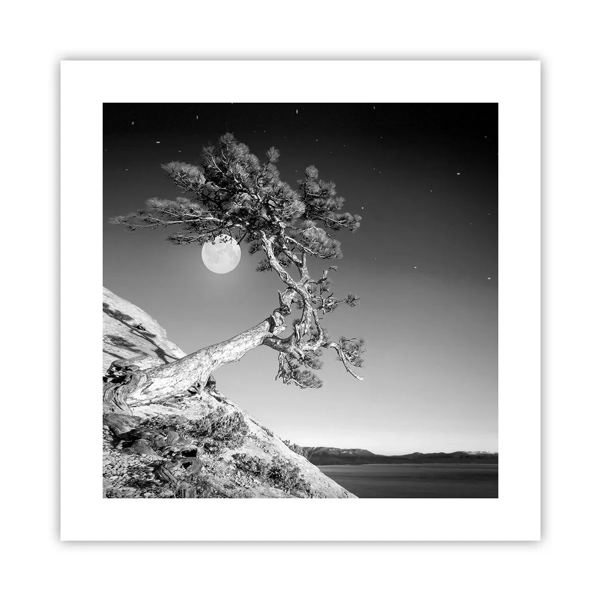 Affiche - Poster - Un combattant vainqueur - 40x40 cm