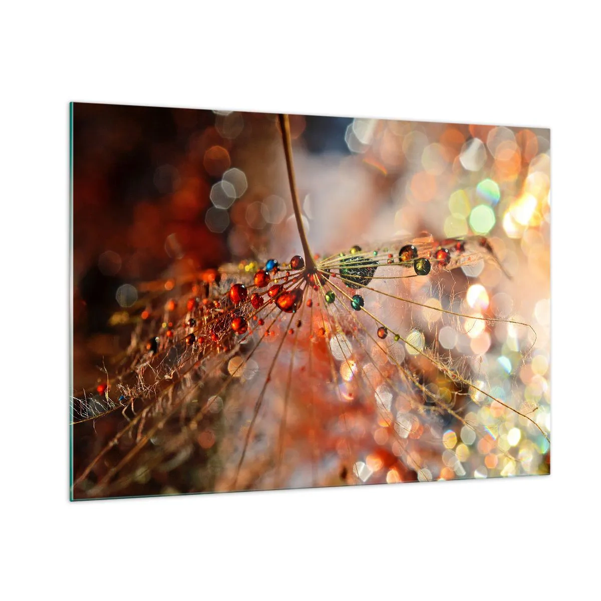 Impression sur verre - Image sur verre - Gouttes d'eau sur une délicate toile d'araignée sous une lumière bokeh - 100x70cm - Enfilé sur un fil d'araignée - Décoration murale moderne pour le salon et la chambre ARTTOR