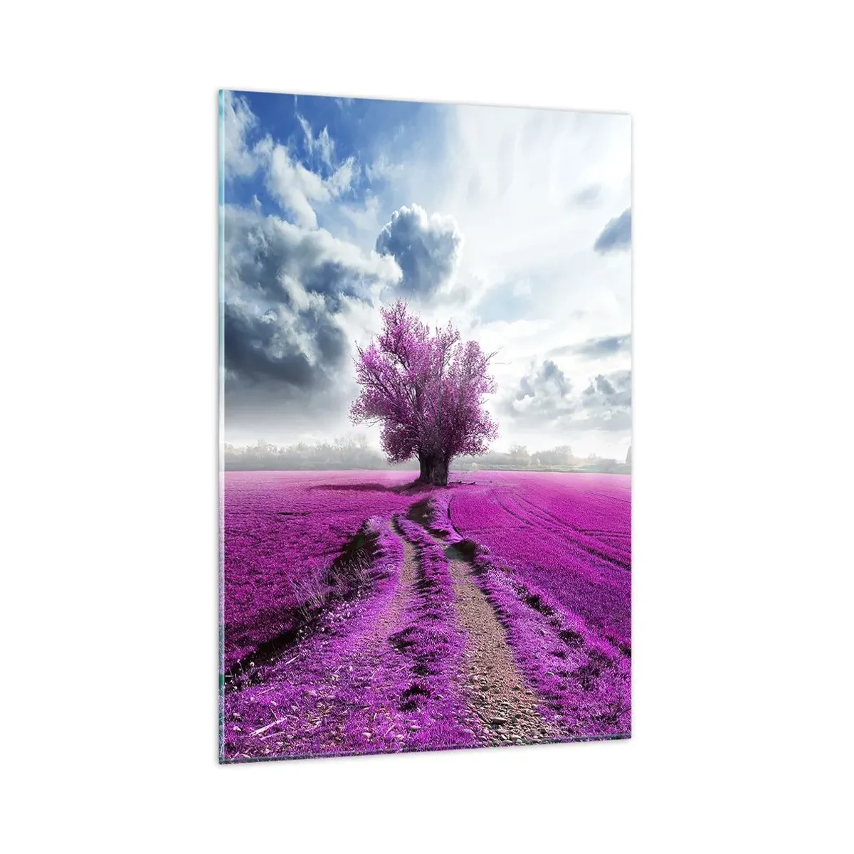 Impression sur verre - Image sur verre - Un arbre solitaire dans un champ dans une nuance de rose intense - 80x120cm - Lande - nature sauvage - Décoration murale moderne pour le salon et la chambre ARTTOR