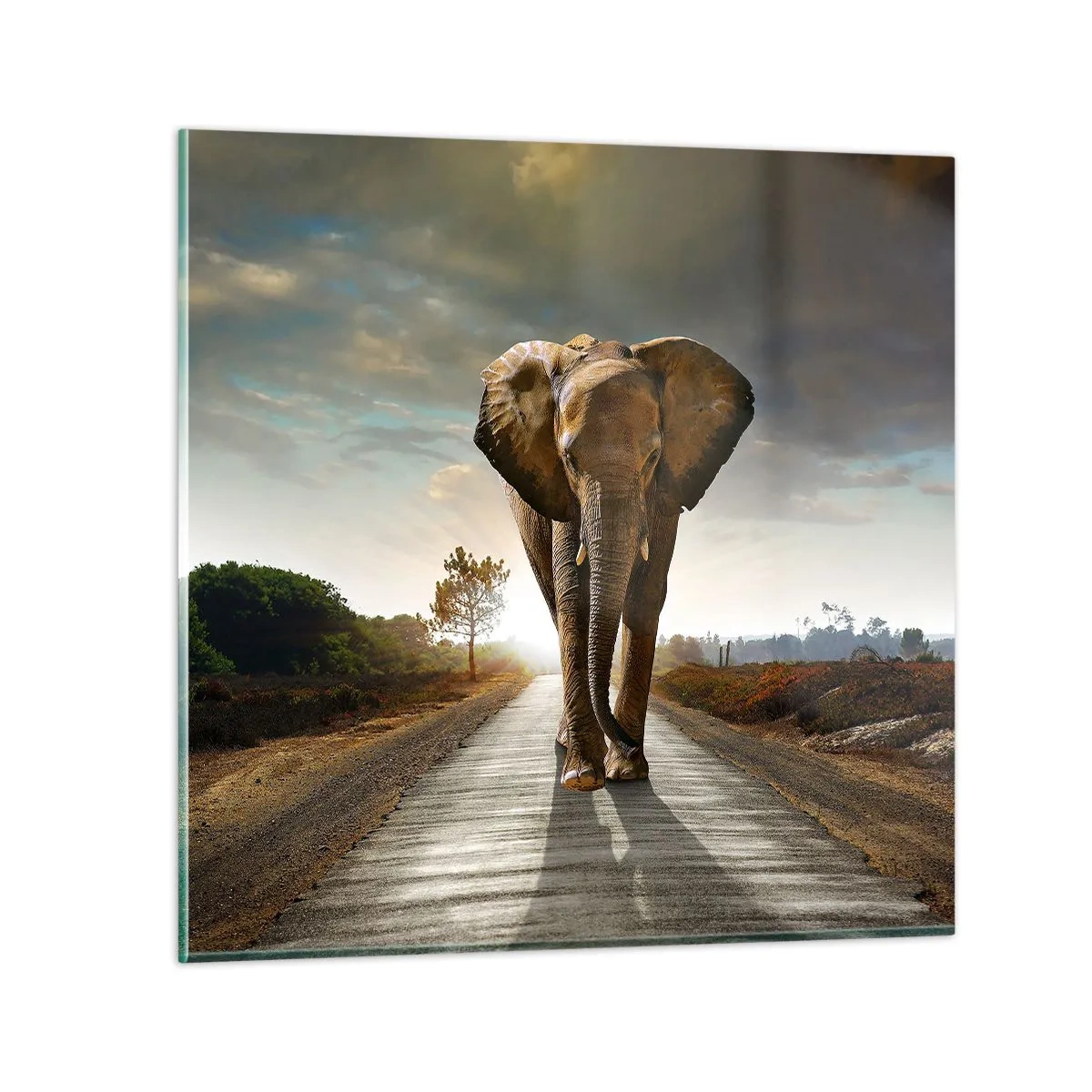 Impression sur verre - Image sur verre - Et pas du tout en porcelaine - 30x30 cm