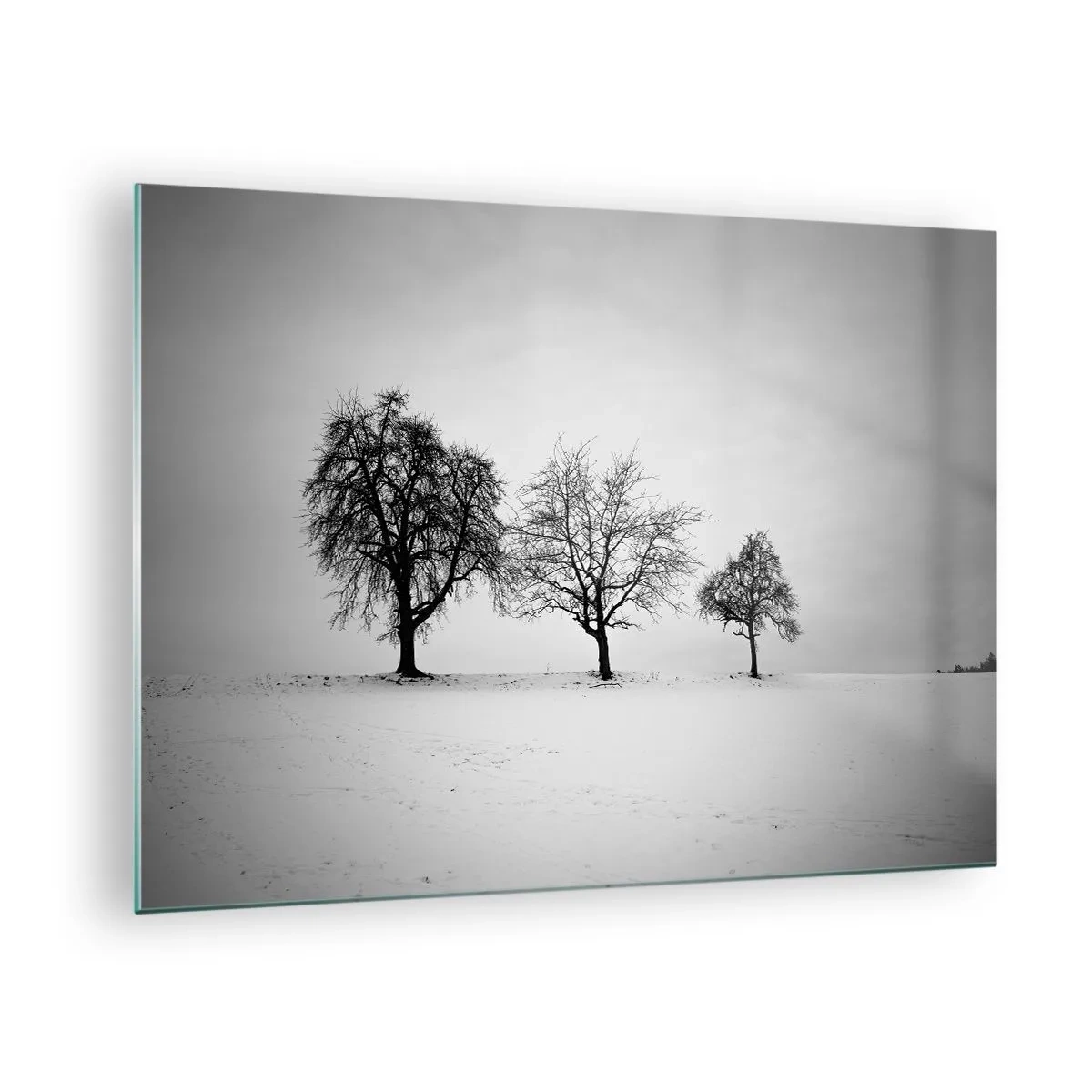 Impression sur verre - Image sur verre - Trois arbres solitaires dans une zone enneigée - 70x50cm - A quoi rêvent-ils? - Décoration murale moderne pour le salon et la chambre ARTTOR
