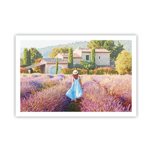 Affiche - Poster - Fille de la lavande - 91x61 cm