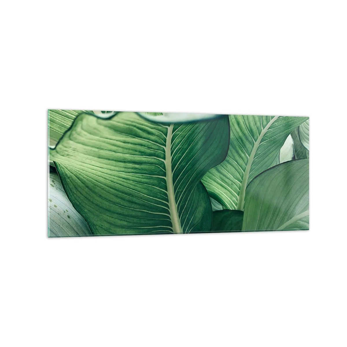 Impression sur verre - Image sur verre - Feuilles vertes avec des détails et une structure expressifs - 120x50cm - Une vie intensément verte - Décoration murale moderne pour le salon et la chambre ARTTOR