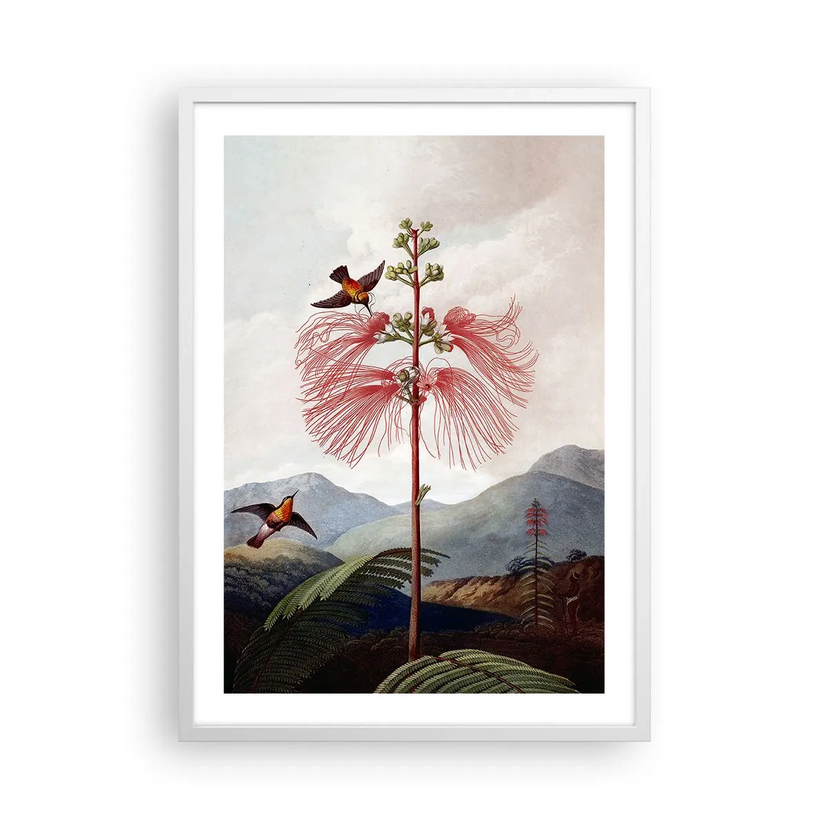 Affiche dans un cadre blanc - Poster - Dans un paradis tropical - 50x70 cm